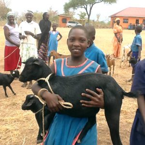 Goat distribution at Ogoloi CarePoint in Uganda